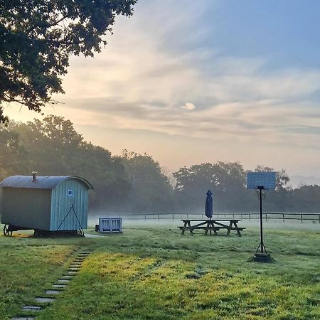 Skylark Shepherds Hut Royal Tunbridge Wells Kültér fotó