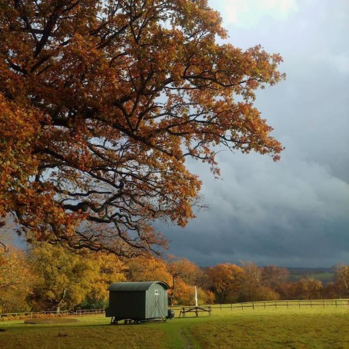 Skylark Shepherds Hut Royal Tunbridge Wells Kültér fotó